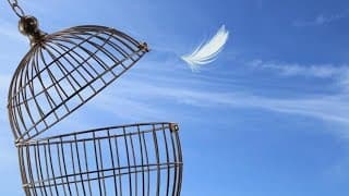 A alegria da Liberdade da Alma