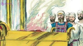 7 dias de treinamento