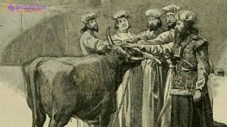 Os sacrifícios de Treinamento