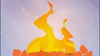 7 dias repetindo o processo