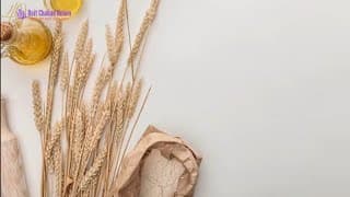 A Oferenda de Agradecimento